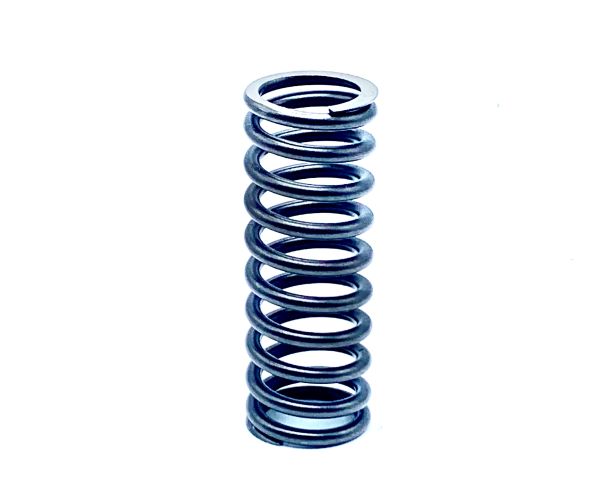 Valve Springs